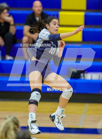 Thumbnail 2 in Birdville @ Keller photogallery.