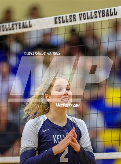 Thumbnail 3 in Birdville @ Keller photogallery.