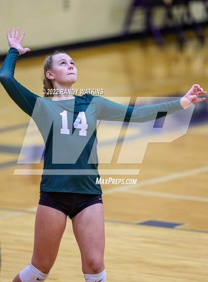 Thumbnail 1 in Birdville @ Keller photogallery.
