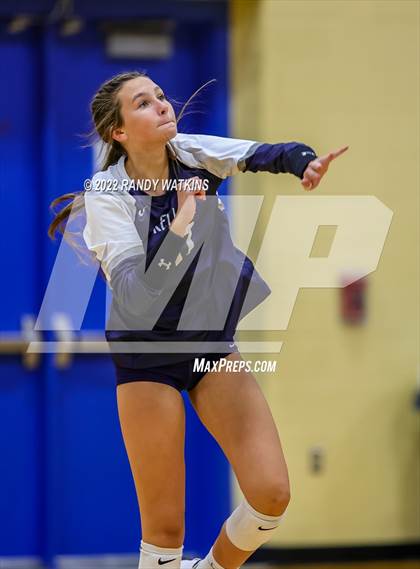 Thumbnail 2 in Birdville @ Keller photogallery.