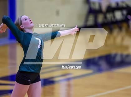 Thumbnail 2 in Birdville @ Keller photogallery.