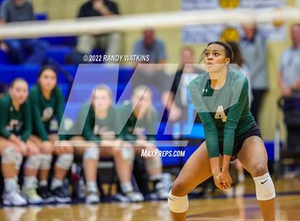 Thumbnail 3 in Birdville @ Keller photogallery.