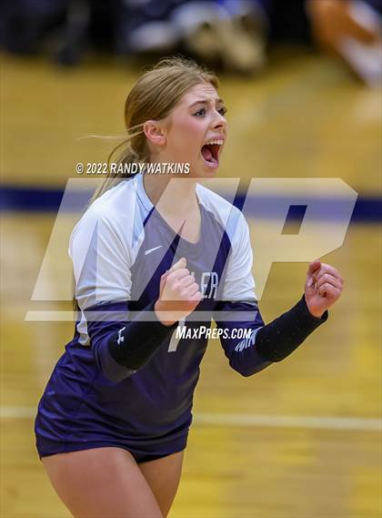 Thumbnail 1 in Birdville @ Keller photogallery.