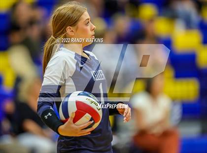 Thumbnail 1 in Birdville @ Keller photogallery.