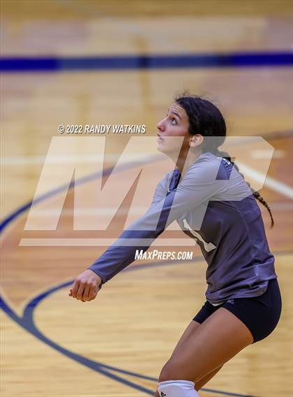 Thumbnail 2 in Birdville @ Keller photogallery.