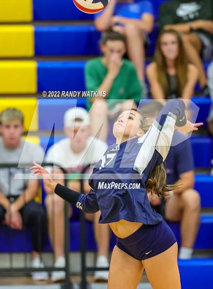 Thumbnail 1 in Birdville @ Keller photogallery.