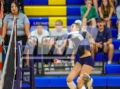 Thumbnail 2 in Birdville @ Keller photogallery.