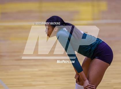Thumbnail 3 in Birdville @ Keller photogallery.