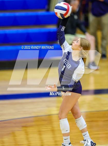 Thumbnail 3 in Birdville @ Keller photogallery.
