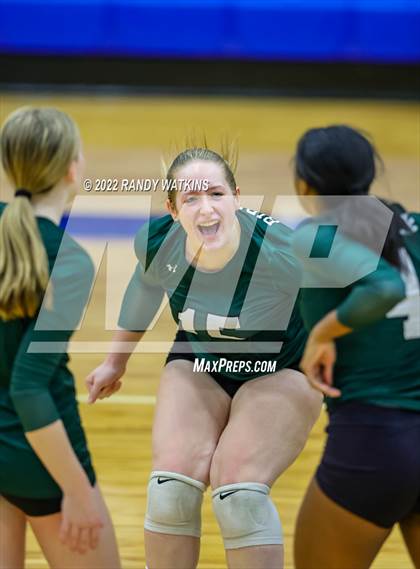Thumbnail 3 in Birdville @ Keller photogallery.
