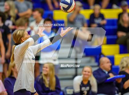 Thumbnail 3 in Birdville @ Keller photogallery.
