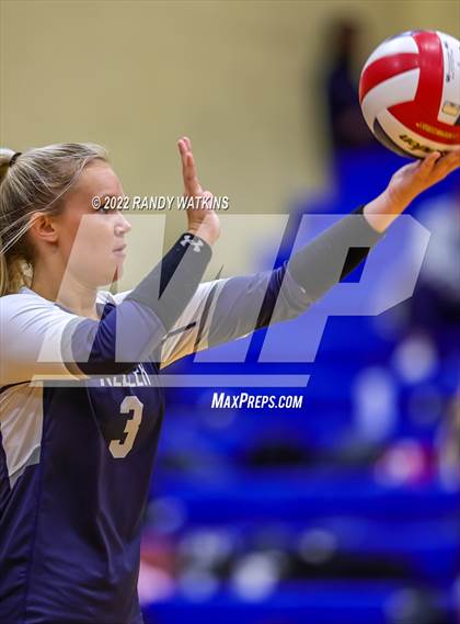 Thumbnail 3 in Birdville @ Keller photogallery.