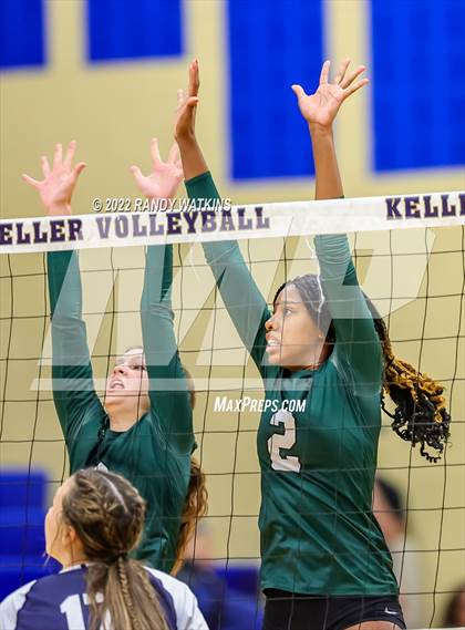 Thumbnail 3 in Birdville @ Keller photogallery.