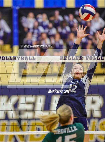 Thumbnail 3 in Birdville @ Keller photogallery.