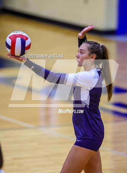 Thumbnail 2 in Birdville @ Keller photogallery.