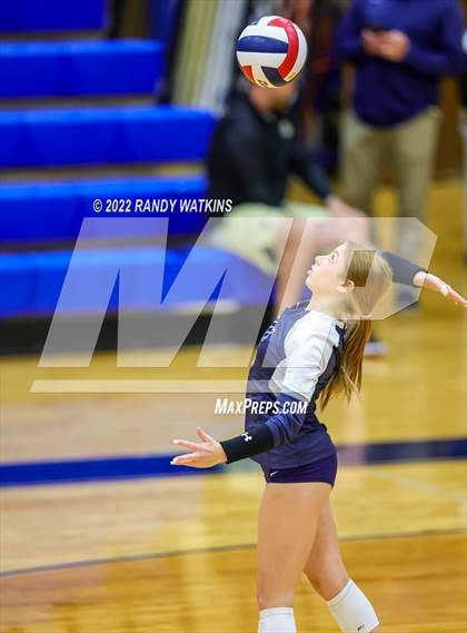 Thumbnail 2 in Birdville @ Keller photogallery.