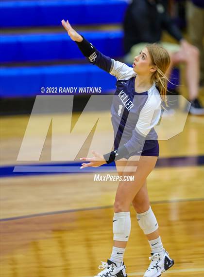 Thumbnail 1 in Birdville @ Keller photogallery.