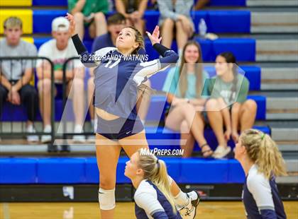 Thumbnail 3 in Birdville @ Keller photogallery.