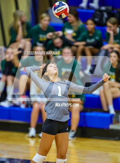 Thumbnail 3 in Birdville @ Keller photogallery.