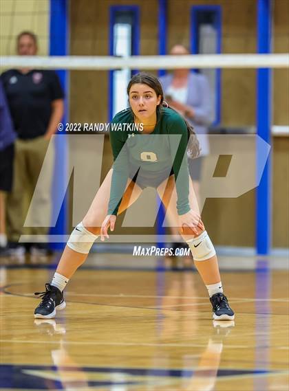 Thumbnail 2 in Birdville @ Keller photogallery.
