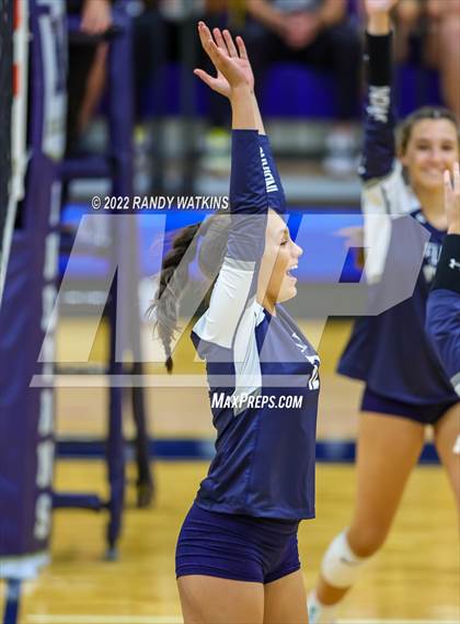 Thumbnail 2 in Birdville @ Keller photogallery.