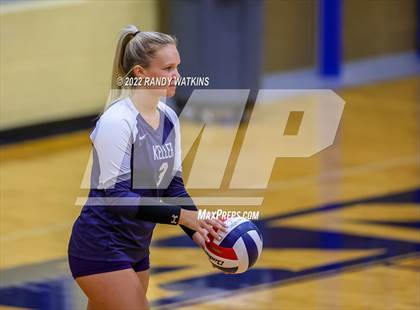 Thumbnail 1 in Birdville @ Keller photogallery.