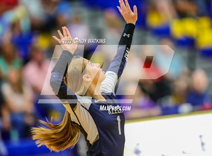 Thumbnail 2 in Birdville @ Keller photogallery.