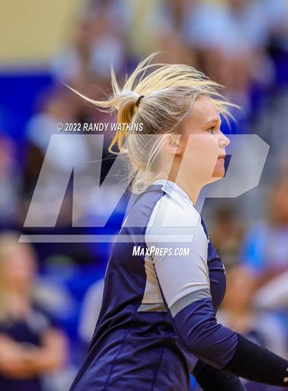Thumbnail 1 in Birdville @ Keller photogallery.