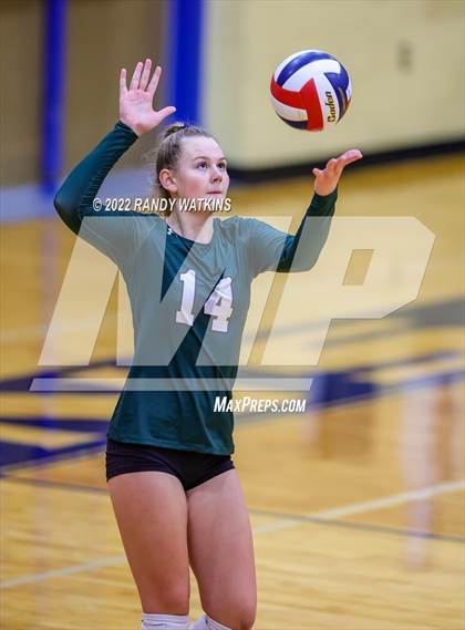 Thumbnail 2 in Birdville @ Keller photogallery.