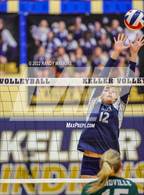 Photo from the gallery "Birdville @ Keller"