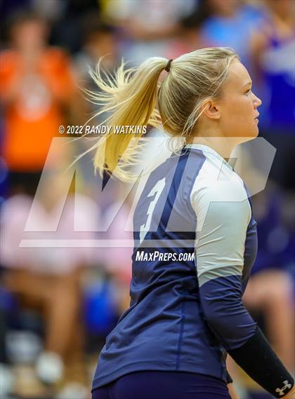Thumbnail 2 in Birdville @ Keller photogallery.