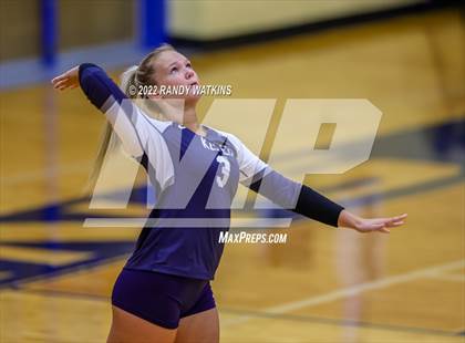 Thumbnail 2 in Birdville @ Keller photogallery.