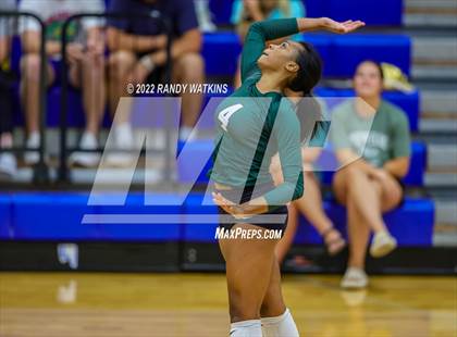 Thumbnail 3 in Birdville @ Keller photogallery.
