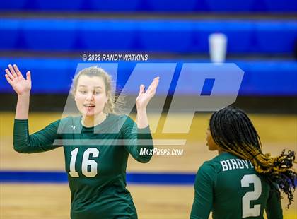 Thumbnail 1 in Birdville @ Keller photogallery.