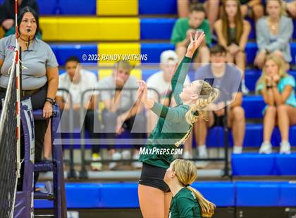 Thumbnail 2 in Birdville @ Keller photogallery.