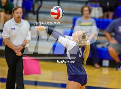 Thumbnail 2 in Birdville @ Keller photogallery.