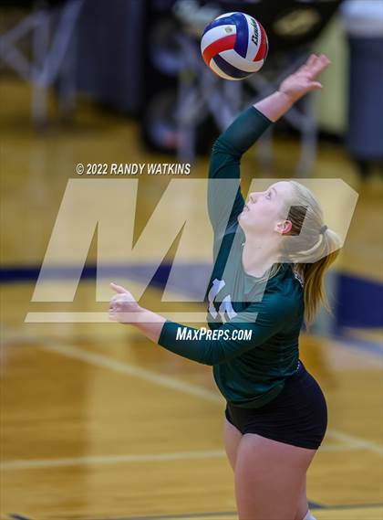 Thumbnail 1 in Birdville @ Keller photogallery.