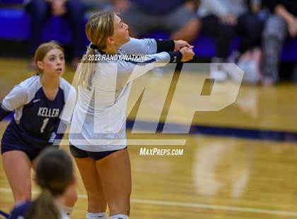 Thumbnail 3 in Birdville @ Keller photogallery.