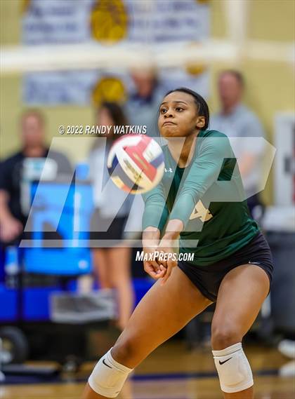 Thumbnail 1 in Birdville @ Keller photogallery.