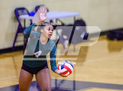 Thumbnail 3 in Birdville @ Keller photogallery.