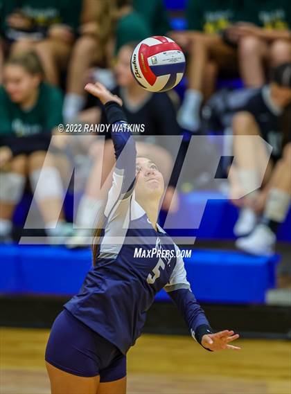 Thumbnail 2 in Birdville @ Keller photogallery.