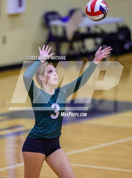 Thumbnail 1 in Birdville @ Keller photogallery.