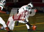 Photo from the gallery "Central Dauphin @ State College"