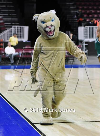 Thumbnail 3 in Ganado vs. Phoenix Christian (AIA D4 Semifinal) photogallery.