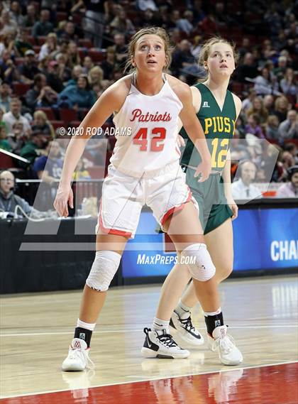 Thumbnail 1 in Millard South vs. Pius X (NSAA Class A Semifinal) photogallery.