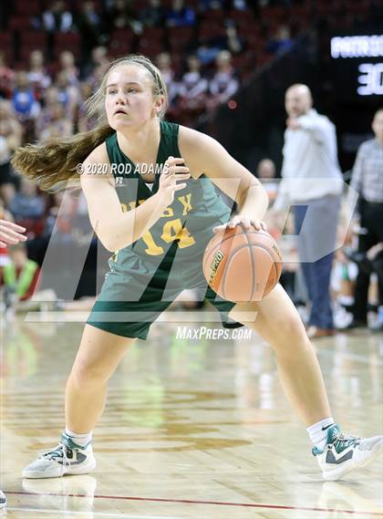 Thumbnail 3 in Millard South vs. Pius X (NSAA Class A Semifinal) photogallery.