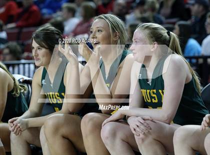 Thumbnail 1 in Millard South vs. Pius X (NSAA Class A Semifinal) photogallery.