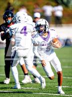 Photo from the gallery "Franklin @ Laguna Creek"