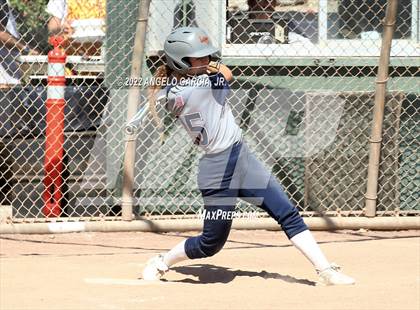 Thumbnail 2 in Livermore vs Freedom (Livermore Stampede) photogallery.