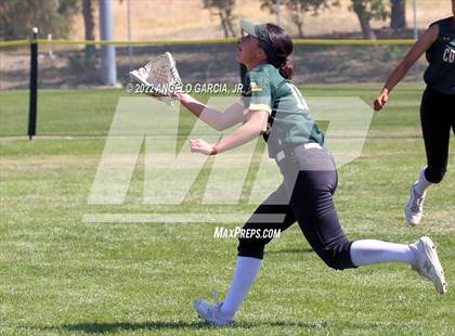 Thumbnail 2 in Livermore vs Freedom (Livermore Stampede) photogallery.